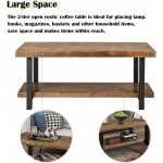 Knocbel Farmhouse Coffee Table for Living Room Sofa Side 2-Tier End Table with Open Storage Shelf & Metal Frame 42.1" L x 22" W x 18.42" H Rustic Brown and Black 42"