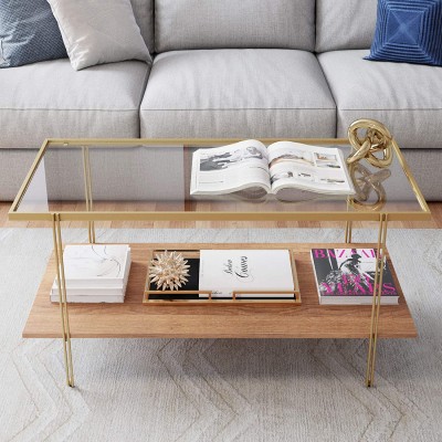 Nathan James Asher Mid-Century Rectangle Coffee Table Glass Top and Rustic Oak Storage Shelf with Sleek Brass Metal Legs Gold