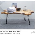 Natural Wood Edge Contemporary Coffee Cocktail Table Warm&Air Live Edge Coffee Table,Living Room Coffee Table with Clear Lacquer Finish and Metal Hairpin Legs,Unique Desktop