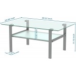 SSLine Rectangle Glass Occasional Coffee Table Modern Simple Living Room Center Table with Metal Frame Clear Frosted 2-Tier Sofa Side Cocktail Tea Tables with Storage Shelf -Grey