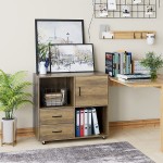 2 Drawer Mobile File Cabinet Wood Lateral Filing Cabinet with Door Rolling Printer Stand with Open Storage Shelves Office Cart for Home Office Rustic Brown