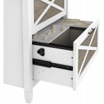 Bush Furniture 2 Drawer Lateral File Cabinet Pure White and Shiplap Gray