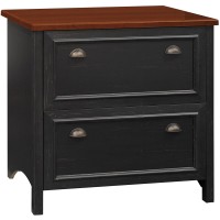 Bush Furniture Fairview 2 Drawer Lateral File Cabinet in Antique Black and Hansen Cherry