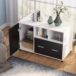 File Cabinet with Lock and Drawer Mobile Lateral Filing Cabinet with Storage Shelves Mobile Printer Stand with Rolling Wheels for Home Office Black&White