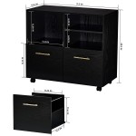 GreenForest Wooden File Cabinet Mobile 2 Drawer File Cabinet on Wheels Large Rolling Lateral Filing Cabinet Printer Stand with Open Storage Shelves for Home Office Black