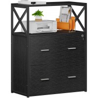 Raybee Filing Cabinet for Home Office Lateral File Cabinet with 2 Big Drawers Printer Stand with Lockable Storage Cabinet for Letter Size A4 Legal Size File Folders 31.5” L X 15.8”W X 40.6”H