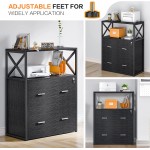 Raybee Filing Cabinets for Home Office with 2 Drawer Locking Lateral File Cabinets fit Letter Legal A4 Size Large File Cabinets Printer Stand with Open Storage Shelves 31.5”W X 15.8”D X 40.6”H Black