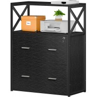 Raybee Filing Cabinets for Home Office with 2 Drawer Locking Lateral File Cabinets fit Letter Legal A4 Size Large File Cabinets Printer Stand with Open Storage Shelves 31.5”W X 15.8”D X 40.6”H Black