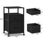 Raybee Small Filing Cabinets for Home Office with 2 Drawers Rolling File Cabinet with Open Storage Shelf Small Office Cabinet Printer Stand fits A4 Letter Legal Size Black 16" D x 17" W x 27" H