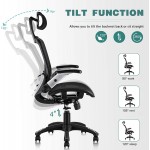Gabrylly Ergonomic Mesh Office Chair High Back Desk Chair Adjustable Headrest with Flip-Up Arms Tilt Function Lumbar Support and PU Wheels Swivel Computer Task Chair