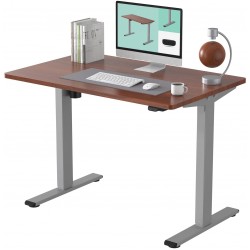 FLEXISPOT EC1 Adjustable Desk Electric Standing Desk 48 x 30 Inches Whole-Piece Desk Board Home Office Table Stand up Desk Classic Gray Frame + 48 in Mahogany Top