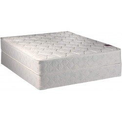 DS Solutions USA Legacy None Flip 1-Sided Queen Mattress and Low Profile Box Spring Set with Mattress Cover Protector Included Good for Your Back Longlasting