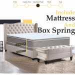Mayton10-Inch Medium Plush Eurotop Pillowtop Innerspring Mattress And 8" Wood Traditional Box Spring Foundation Set,FullBrown