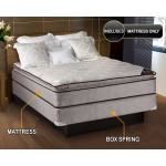 Spinal Dream Plush Pillow Top Eurotop Twin 39"x75"x12" Mattress and Box Spring Set Sleep System with Enhanced Cushion Support Assembled by Dream Solutions USA