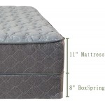 Treaton 11-Inch Firm Foam Encased Euro Top Gel Infused Mattress & 8" Wood Box Spring Set Queen