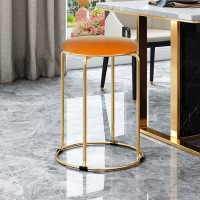 Round Vanity Stool Vanity Bench Metal Leg Dining Stool with Plastic Non-Slip Foot Pad Home Chair Decorative Furniture