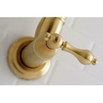 3.8 GPM 1 Hole Wall Mounted Brass DF-1-SD2709 Faucets Toilets Sinks Turn Valves and Much More!