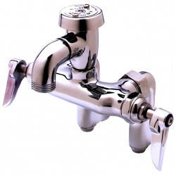 T&S Brass B-0669-POL Service Sink Faucet Wall Mount Adjustable Center Vacuum Breaker Integral Stop Polished