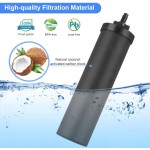 ANYHOW BB9-2 Water filter  Black Purification Elements,Water Purifier Replacement Filters，Compatible with Gravity Filter System,Doulton Super Sterasyl and Propur Traveler King Big Series -2 Pack