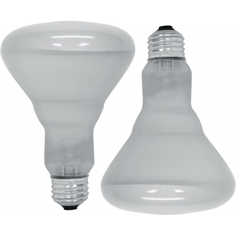 GE Lighting 18011 65-Watt Soft White Reflector Flood BR30 Light Bulb 2-Pack 2 Count