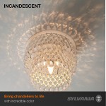 SYLVANIA Incandescent Décor Light Bulb F15 40W Medium Base 335 Lumens 2850K Incandescent Soft White 2 Pack 13985