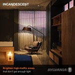 SYLVANIA Incandescent Light Bulb C7 4W Candelabra Base 15 Lumens 2850K Non-Dimmable Clear Soft White 4 Pack 13549