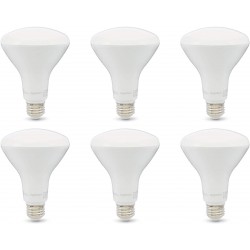 Basics 65W Equivalent Soft White Dimmable 10,000 Hour Lifetime BR30 LED Light Bulb | 6-Pack