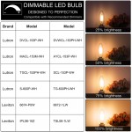 Dimmable E12 Candelabra LED Bulbs 40W Equivalent 2700K Warm White 4W Filament LED Chandelier Light Bulbs B11 Vintage Edison Clear Candle lamp with Decorative Candelabra Base Pack of 12