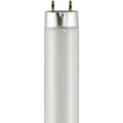 F18T8 CW 28 Cool-White 4200K Watts: 18W Type: T8 Fluorescent Tube Color