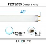 Luxrite F32T8 765 32W 48 Inch T8 Fluorescent Tube Light Bulb 6500K Daylight White 2650 Lumens G13 Medium Bi-Pin Base LR20735 4-Pack