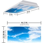 OCTO LIGHTS Fluorescent Light Covers for Classroom Office Eliminate Harsh Glare Causing Eyestrain and Headaches. Office & Classroom Decorations Cloud 010