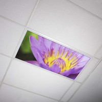 Octo Lights Fluorescent Light Covers for Classroom Office Eliminate Harsh Glare Causing Eyestrain and Headaches. Office & Classroom Decorations Flower 003