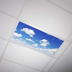 OCTO LIGHTS Fluorescent Light Covers for Classroom Office Eliminate Harsh Glare Causing Eyestrain and Headaches. Office & Classroom Decorations Cloud 012
