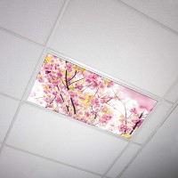 Octo Lights Fluorescent Light Covers for Classroom Office Eliminate Harsh Glare Causing Eyestrain and Headaches. Office & Classroom Decorations Flower 006