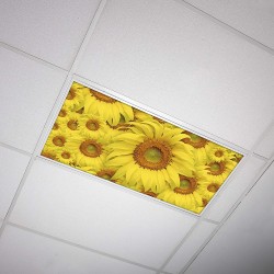 Octo Lights Fluorescent Light Covers for Classroom Office Eliminate Harsh Glare Causing Eyestrain and Headaches. Office & Classroom Decorations Flower 001