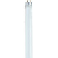 Satco S8422 48-Inch 3000K 28-Watt Medium Bi Pin T8 Instant Rapid Start Energy Saving Lamp Warm White