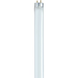 Satco S8422 48-Inch 3000K 28-Watt Medium Bi Pin T8 Instant Rapid Start Energy Saving Lamp Warm White