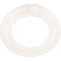 TCP CFL Double Circle Lamp 200W Equivalent Bright White 3500K T6 Circline Lamp