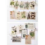 Forest Plants Wall Collage Kit Aesthetic Room Decor Pictures Cottagecore Indie Room Decor Bedroom Posters For Teen Girls Boys Dorm Trendy Wall Art Vintage Forest Plants