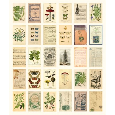 Forest Plants Wall Collage Kit Aesthetic Room Decor Pictures Cottagecore Indie Room Decor Bedroom Posters For Teen Girls Boys Dorm Trendy Wall Art Vintage Forest Plants