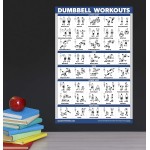 Palace Learning Dumbbell Workout Exercise Poster Laminated Free Weight Body Building Guide | Home Gym Chart | Double Sided 18" x 27"