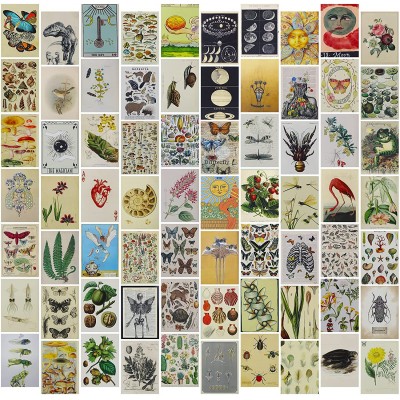 Vintage Wall Collage Kit Nature Aesthetic Pictures for Bedroom VSCO Posters Boho Photo Wall Decor for Girls Boys Cottagecore Room Decor Dorm Botanical Wall Art 70 pcs