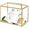 NCYP 10.2" Gold Geometric Glass Card Box with Slot and Heart Lock Handmade Brass Clear Terrarium Planter for Wedding Reception Large Simple Party Centerpiece Gift Glass Box and Lock Only
