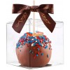 XP-ART 30 Pcs Candy Apple Box with Hole Top PET Clear Box,Transparent Boxes Plastic Gift Boxes for Caramel Apples Ornaments Treats Party Favors,Easter 4" L x 4" W x 4" H