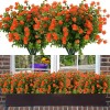 GREBOU 6 Bundles Artificial Flowers Fake Boxwood Plants Faux Plastic Lotus Shrubs UV Resistant No Fade Faux Greenery for Home Garden Hanging Planter Porch Patio Office Wedding DecorationOrange Red