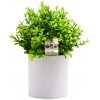 OFFIDIX Potted Artificial Plant,Mini Artifical Flower with Plastic White Cylindrical Pots Desk Plant Topiary Shrubs Fake Plants for Office Desk Coffee Table Bathroom Bedroom Home Decorations