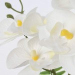 Orchids Artificial Flowers Arrangement Small Fake Orchid Faux Flowers in Silver Ceramic Vase Real Touch Phalaenopsis Orchid Plant White Orchid for Home Office Wedding Party Centerpiece Decoration
