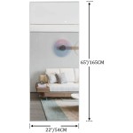 NeuType Floor Full Length Mirror Standing Full Body Dressing Mirrors with Stand Hanging Wall Mounted Large Rectangle Metal Frame Leaning Bedroom Living Room Décor 65 x 22 in Silver