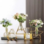 Five-Pointed Star vase- Decoration Household Wall Hanging- Living Room Porch Dining Room Table Decoration- Iron Art Geometric hydroponic Test Tube- Green Plant Dried Flower vase
