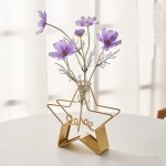 Five-Pointed Star vase- Decoration Household Wall Hanging- Living Room Porch Dining Room Table Decoration- Iron Art Geometric hydroponic Test Tube- Green Plant Dried Flower vase
